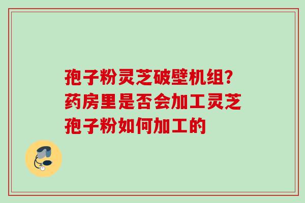 孢子粉灵芝破壁机组？药房里是否会加工灵芝孢子粉如何加工的