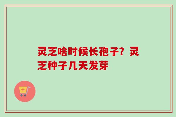 灵芝啥时候长孢子?灵芝种子几天发芽 灵芝啥时候长孢子?灵芝种子几天发芽