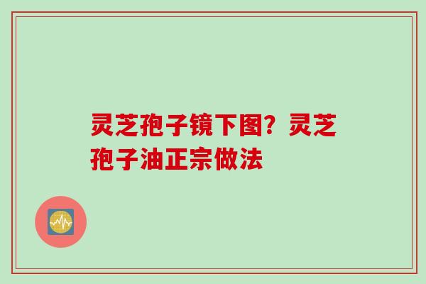 灵芝孢子镜下图？灵芝孢子油正宗做法