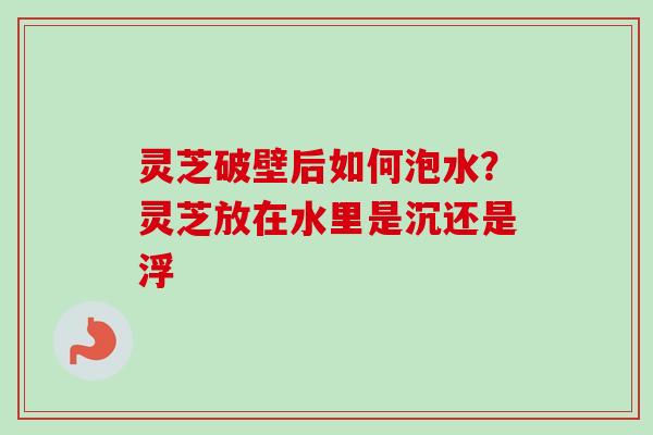 灵芝破壁后如何泡水?灵芝放在水里是沉还是浮 灵芝破壁后如何泡水?灵芝放在水里是沉还是浮