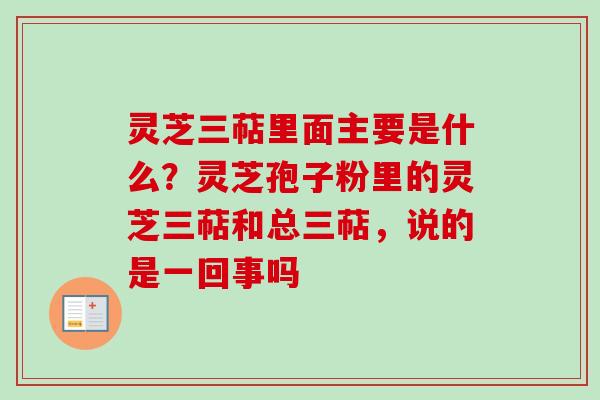 灵芝三萜里面主要是什么？灵芝孢子粉里的灵芝三萜和总三萜，说的是一回事吗