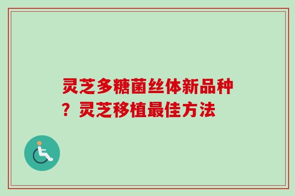灵芝多糖菌丝体新品种?灵芝移植佳方法 灵芝多糖菌丝体新品种?灵芝移植佳方法