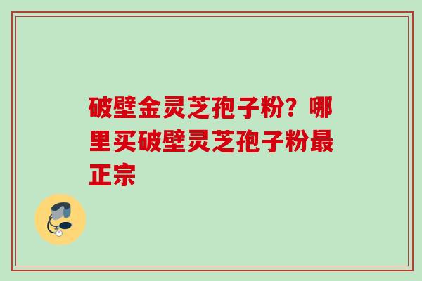 破壁金灵芝孢子粉？哪里买破壁灵芝孢子粉最正宗