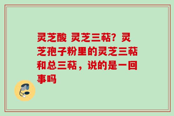 灵芝酸 灵芝三萜？灵芝孢子粉里的灵芝三萜和总三萜，说的是一回事吗