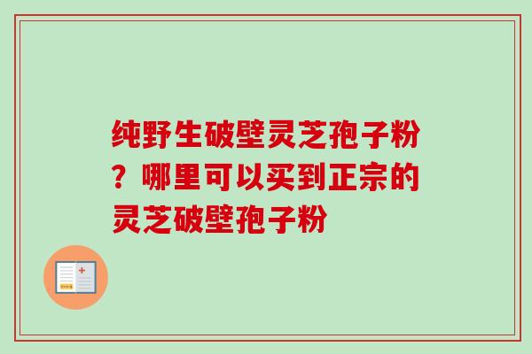 纯野生破壁灵芝孢子粉？哪里可以买到正宗的灵芝破壁孢子粉
