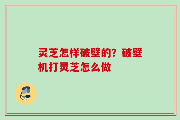 灵芝怎样破壁的?破壁机打灵芝怎么做 灵芝怎样破壁的?破壁机打灵芝怎么做
