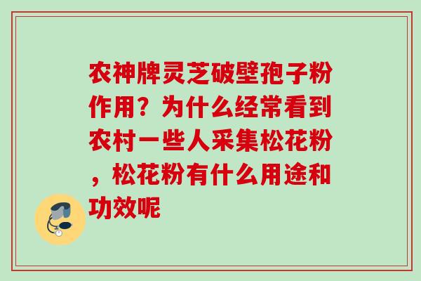 农神牌灵芝破壁孢子粉作用？为什么经常看到农村一些人采集松花粉，松花粉有什么用途和功效呢