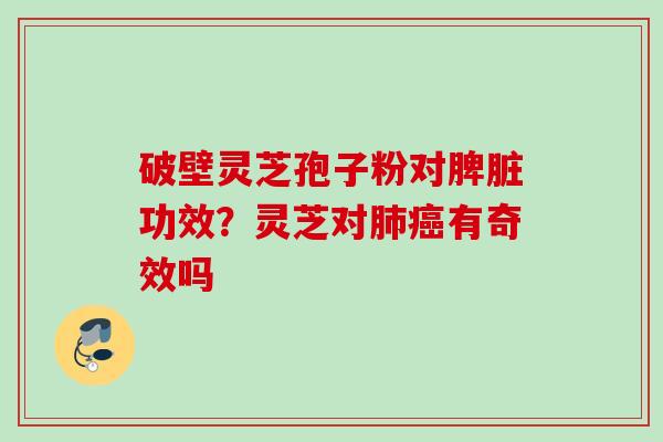破壁灵芝孢子粉对脾脏功效？灵芝对肺癌有奇效吗