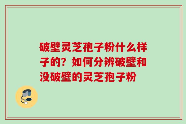 破壁灵芝孢子粉什么样子的？如何分辨破壁和没破壁的灵芝孢子粉