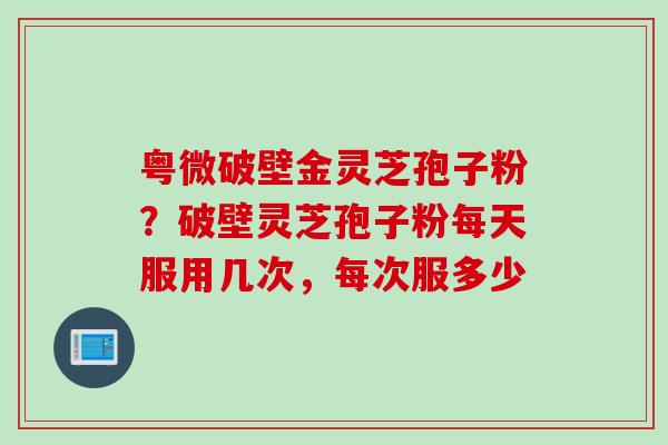 粤微破壁金灵芝孢子粉？破壁灵芝孢子粉每天服用几次，每次服多少