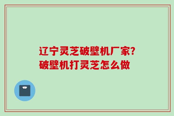 辽宁灵芝破壁机厂家？破壁机打灵芝怎么做