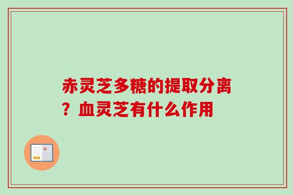 赤灵芝多糖的提取分离？血灵芝有什么作用