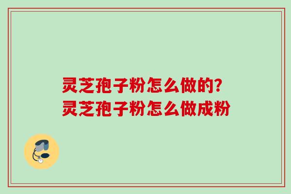 灵芝孢子粉怎么做的？灵芝孢子粉怎么做成粉