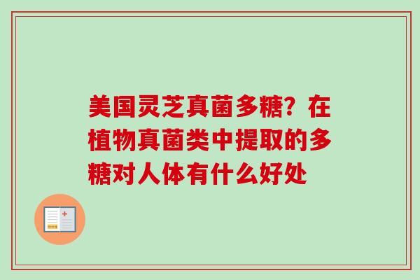 美国灵芝真菌多糖？在植物真菌类中提取的多糖对人体有什么好处