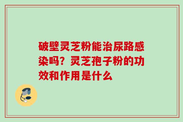 破壁灵芝粉能治尿路感染吗？灵芝孢子粉的功效和作用是什么