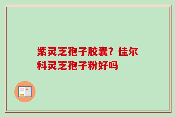 紫灵芝孢子胶囊?佳尔科灵芝孢子粉好吗 紫灵芝孢子胶囊?佳尔科灵芝孢子粉好吗