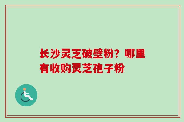 长沙灵芝破壁粉？哪里有收购灵芝孢子粉
