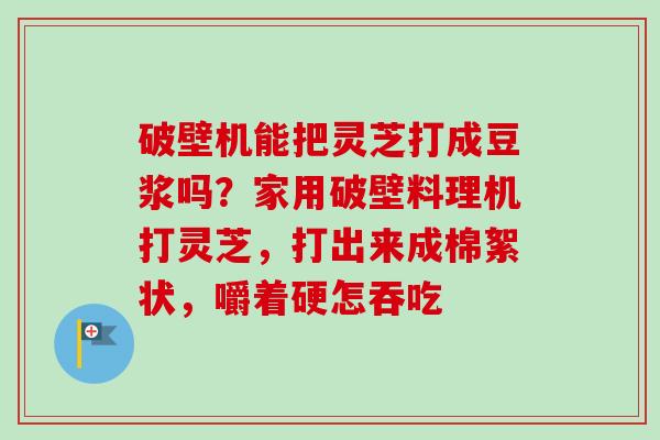 破壁机能把灵芝打成豆浆吗？家用破壁料理机打灵芝，打出来成棉絮状，嚼着硬怎吞吃