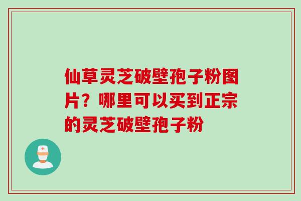 仙草灵芝破壁孢子粉图片？哪里可以买到正宗的灵芝破壁孢子粉