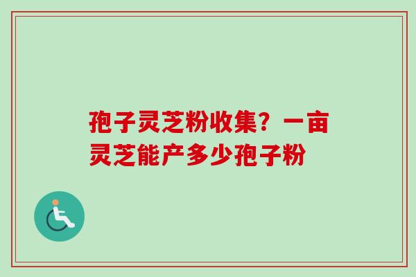 孢子灵芝粉收集？一亩灵芝能产多少孢子粉
