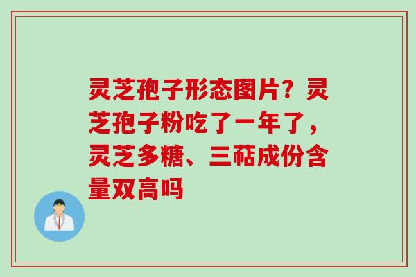 灵芝孢子形态图片？灵芝孢子粉吃了一年了，灵芝多糖、三萜成份含量双高吗