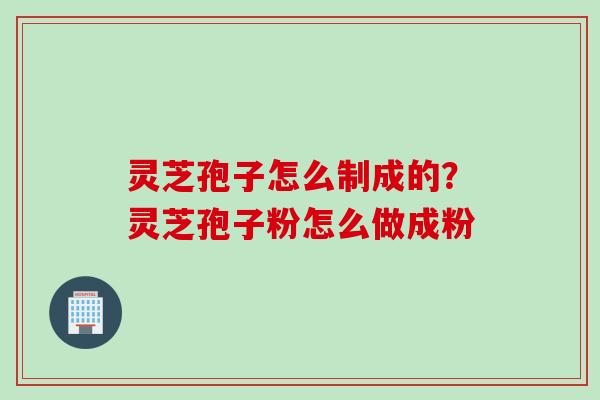 灵芝孢子怎么制成的？灵芝孢子粉怎么做成粉