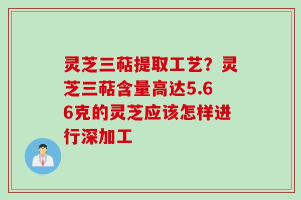 灵芝三萜提取工艺？灵芝三萜含量高达5.66克的灵芝应该怎样进行深加工