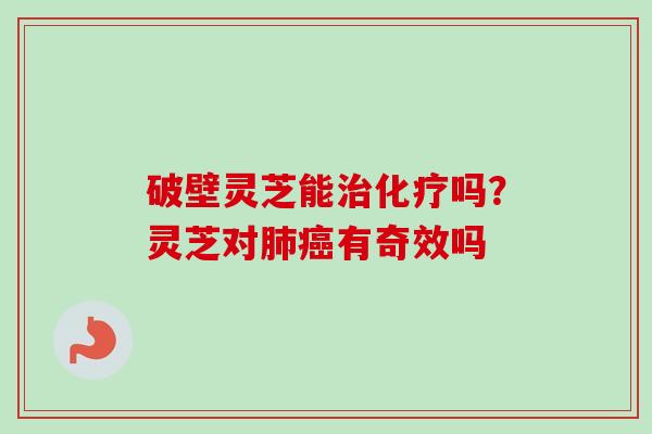 破壁灵芝能治化疗吗？灵芝对肺癌有奇效吗