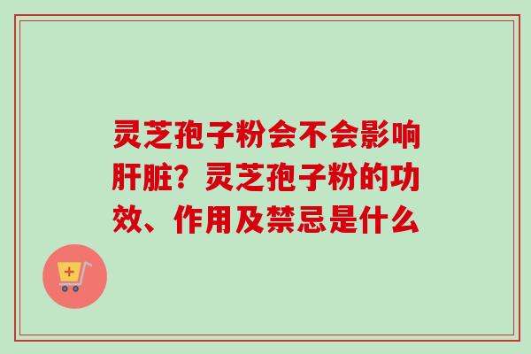 灵芝孢子粉会不会影响肝脏？灵芝孢子粉的功效、作用及禁忌是什么