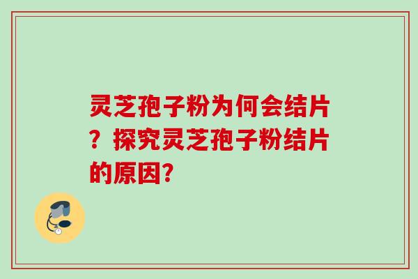 灵芝孢子粉为何会结片？探究灵芝孢子粉结片的原因？
