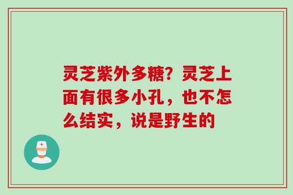 灵芝紫外多糖？灵芝上面有很多小孔，也不怎么结实，说是野生的