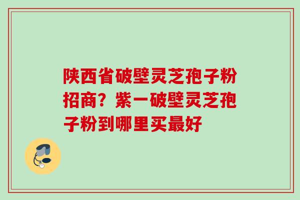 陕西省破壁灵芝孢子粉招商？紫一破壁灵芝孢子粉到哪里买最好