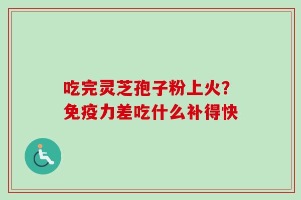 吃完灵芝孢子粉上火？免疫力差吃什么补得快