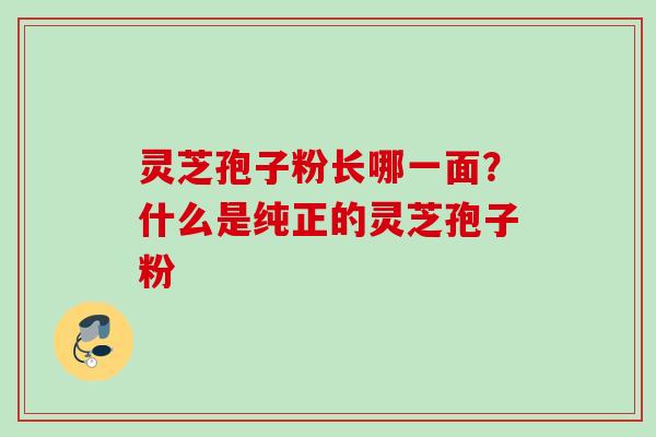 灵芝孢子粉长哪一面?什么是纯正的灵芝孢子粉 灵芝孢子粉长哪一面?什么是纯正的灵芝孢子粉