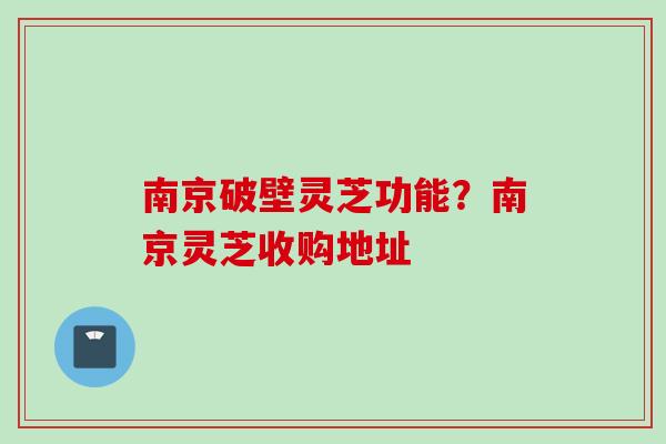 南京破壁灵芝功能？南京灵芝收购地址