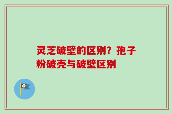 灵芝破壁的区别？孢子粉破壳与破壁区别