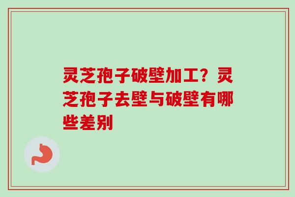 灵芝孢子破壁加工？灵芝孢子去壁与破壁有哪些差别