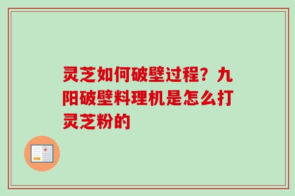 灵芝如何破壁过程？九阳破壁料理机是怎么打灵芝粉的