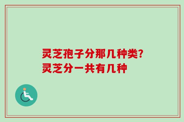 灵芝孢子分那几种类？灵芝分一共有几种