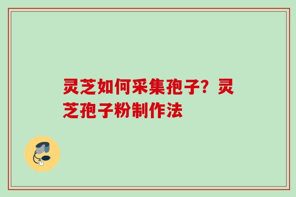 灵芝如何采集孢子？灵芝孢子粉制作法