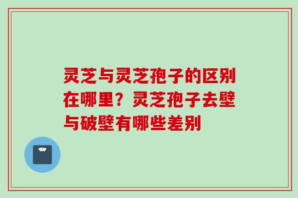 灵芝与灵芝孢子的区别在哪里?灵芝孢子去壁与破壁有哪些差别 灵芝与灵芝孢子的区别在哪里?灵芝孢子去壁与破壁有哪些差别