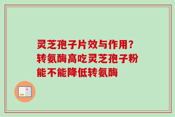 灵芝孢子片效与作用？转氨酶高吃灵芝孢子粉能不能降低转氨酶