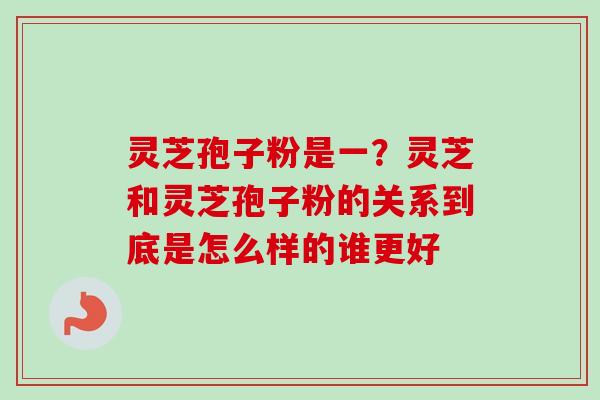 灵芝孢子粉是一？灵芝和灵芝孢子粉的关系到底是怎么样的谁更好