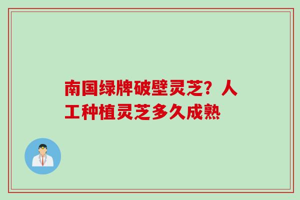 南国绿牌破壁灵芝？人工种植灵芝多久成熟