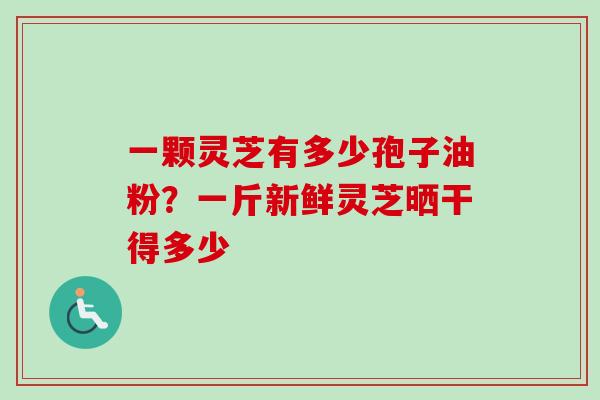 一颗灵芝有多少孢子油粉？一斤新鲜灵芝晒干得多少