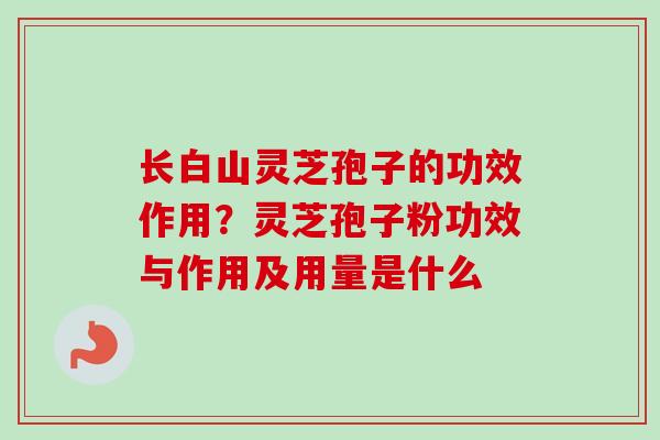 长白山灵芝孢子的功效作用?灵芝孢子粉功效与作用及用量是什么 长白山灵芝孢子的功效作用?灵芝孢子粉功效与作用及用量是什么