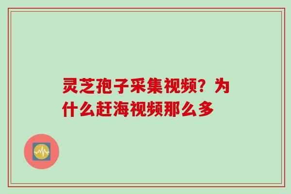 灵芝孢子采集视频？为什么赶海视频那么多