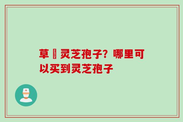 草姫灵芝孢子？哪里可以买到灵芝孢子