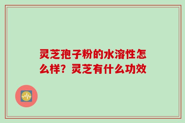 灵芝孢子粉的水溶性怎么样？灵芝有什么功效
