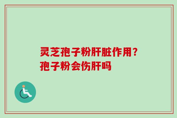 灵芝孢子粉作用?孢子粉会伤吗 灵芝孢子粉作用?孢子粉会伤吗